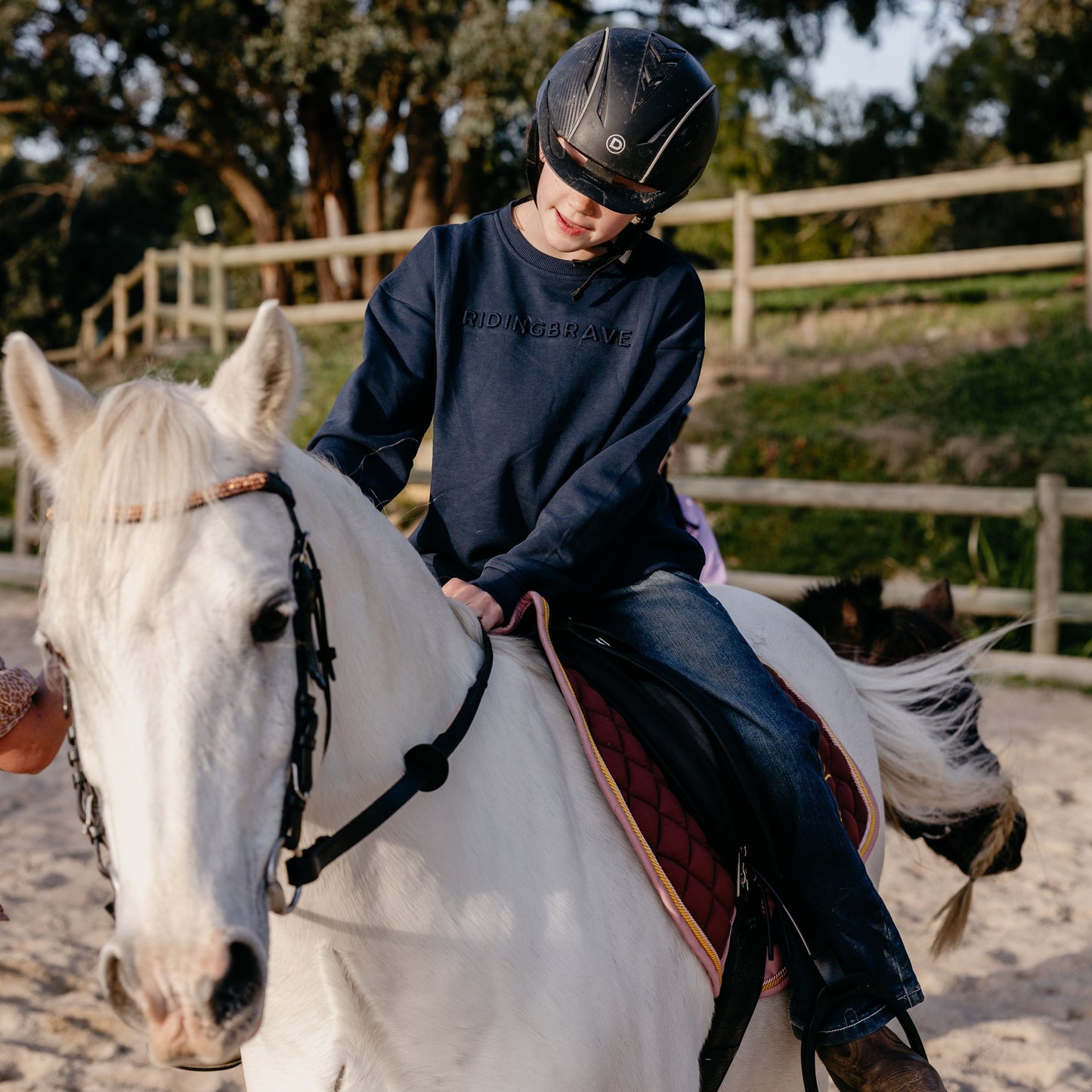 NAVY SIGNATURE RIDING BRAVE SWEATER