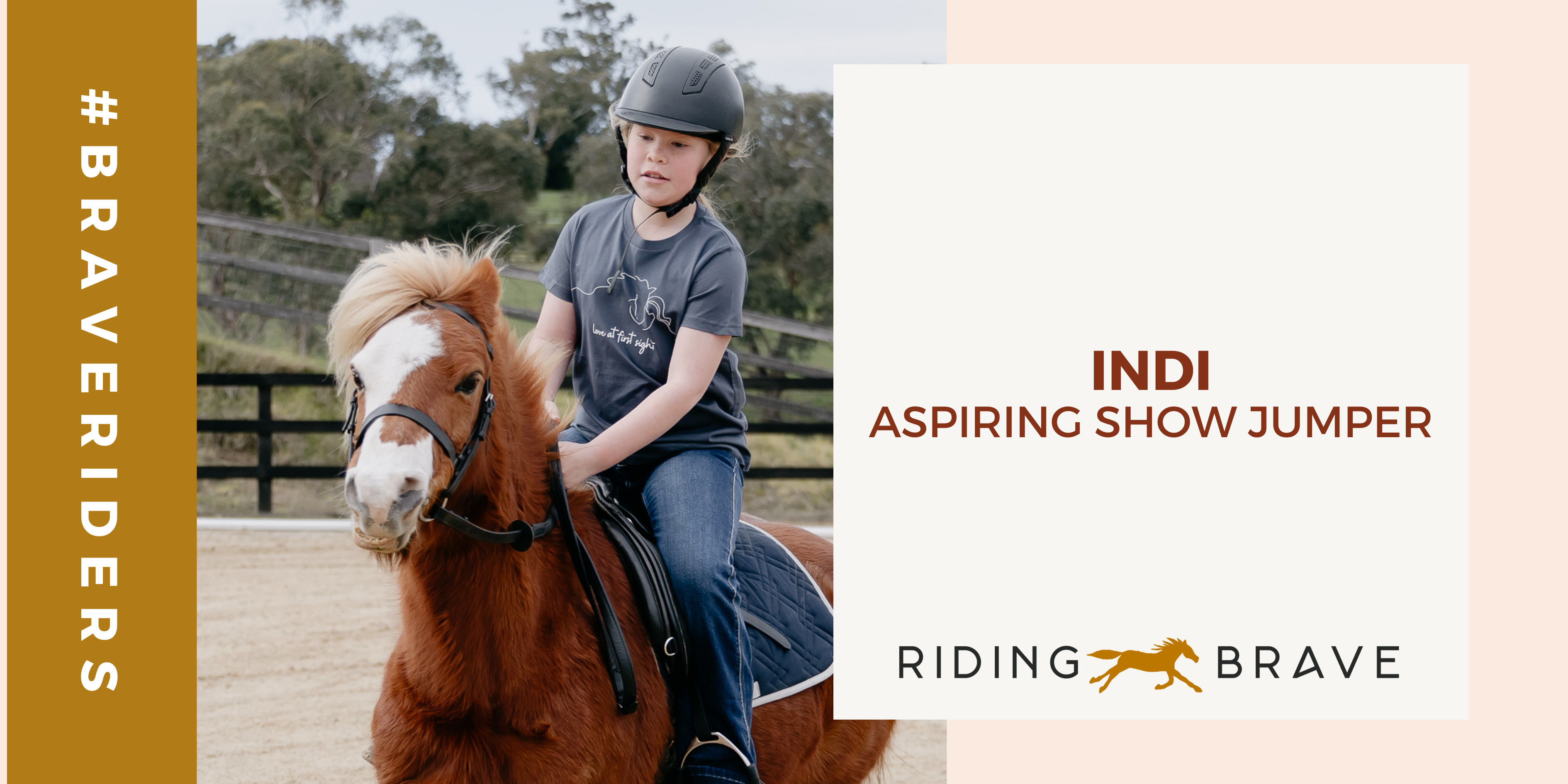 INTRODUCING INDI - PONY CLUB SHOWJUMPER