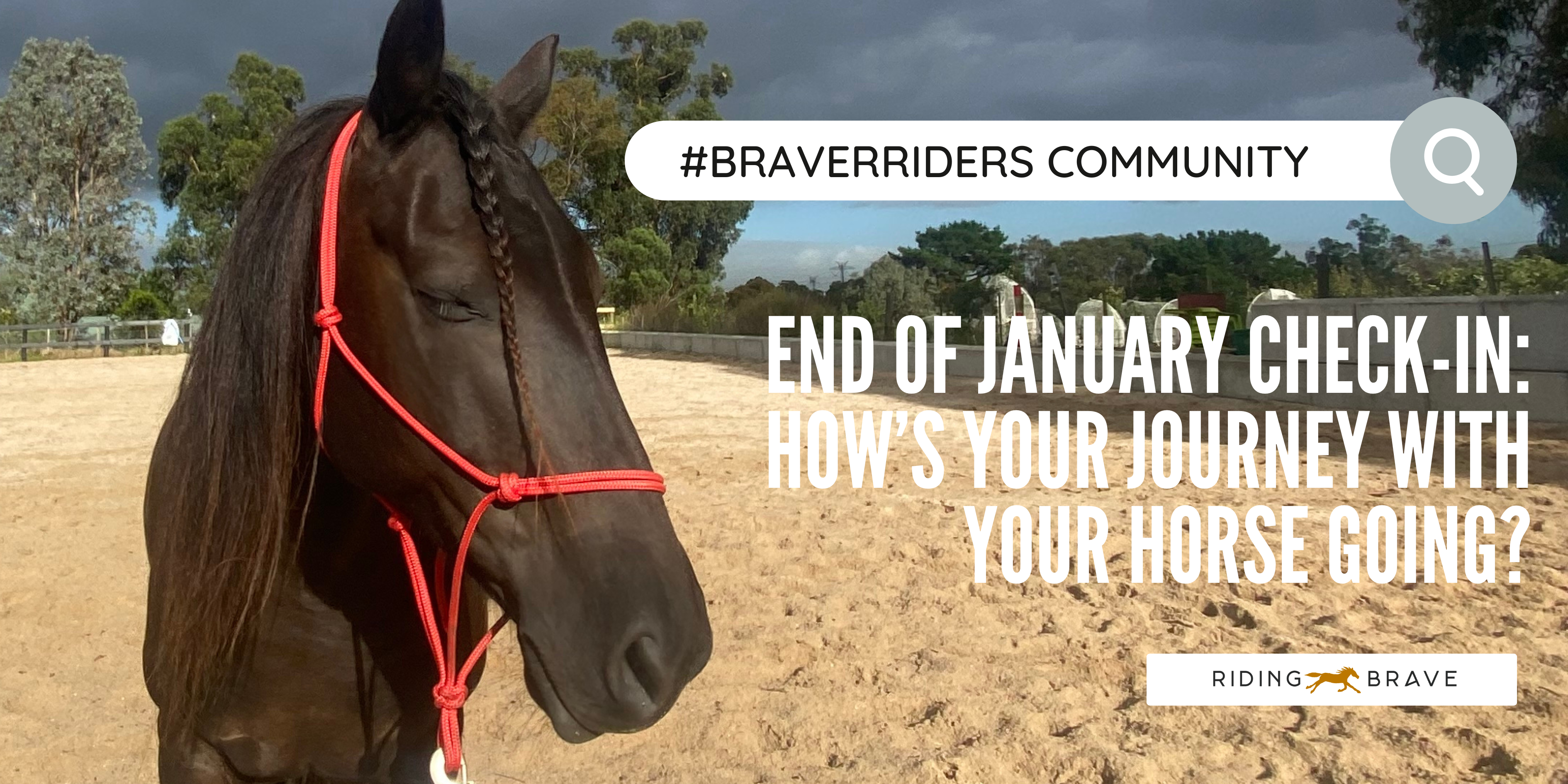 What’s One Thing You’ve Been Putting Off with Your Horse?